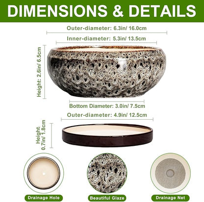 Succulent Planter 6 Inch - Ceramic Bonsai Pots with Drainage Hole and Tray, Shallow Plant Pot Indoor Outdoor, Cactus Succulent Pot, Round Bonsai Planter, Home Decor, Plant Lover Gift, White