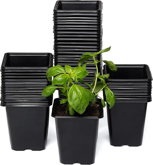 CARPATHEN 64Pack Square Nursery Pots - 2.4 Inch Plastic Seedling Pots with Drainage Holes - Reusable Seed Starter Pots for Plants, Succulent, Flowers, Vegetables - Plant Starter Pots and Sticker Label