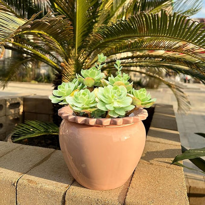 2pcs 6.5inch Design Self Watering Pot for Indoor Plants Pink Indoor Plants Herbaceous Plants Flowers White Terracotta Pots African Violet Pot for Plant Enthusiasts Orchid Planter