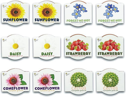 BUZZY Seeds Terracotta Mini Grow Pots 12-Pack – All-in-One Flower Kits with Growing Medium, Sunflower, Daisy, Coneflower, Strawberry, Forget-Me-Not, and Cactus Seeds, DIY Plant Starter Collection