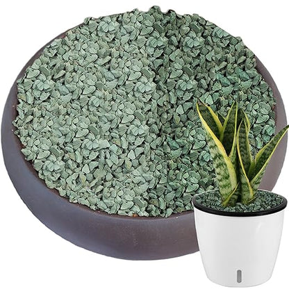 6.6 lbs Succulent and Cactus Bonsai Pebbles, 6-9mm Decorative Landscaping Stones Natural Garden Gravel Rocks for Indoor Outdoor Plants Aquariums DIY, and Gardening Top Dressing, Green Zeolite