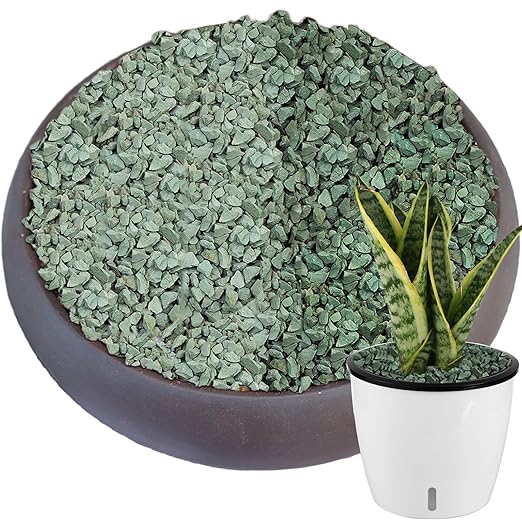 6.6 lbs Succulent and Cactus Bonsai Pebbles, 6-9mm Decorative Landscaping Stones Natural Garden Gravel Rocks for Indoor Outdoor Plants Aquariums DIY, and Gardening Top Dressing, Green Zeolite