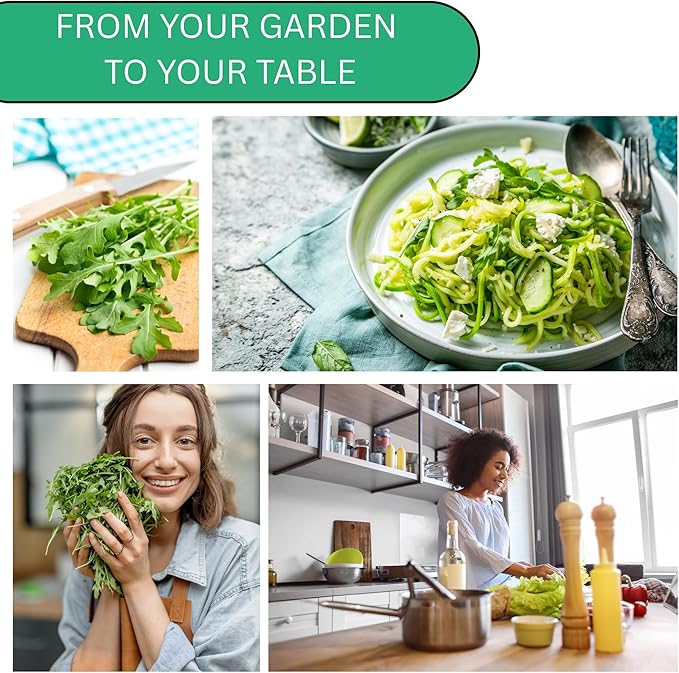 Astro Arugula Seeds for Planting – Heirloom, Non-GMO Arugula Seeds for Home Gardens, Mild Baby Arugula Greens for Salads | Woods Creek Seeds