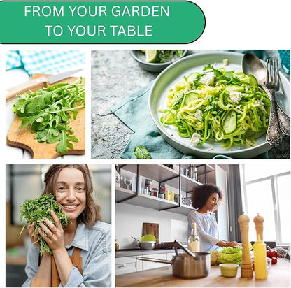 Astro Arugula Seeds for Planting – Heirloom, Non-GMO Arugula Seeds for Home Gardens, Mild Baby Arugula Greens for Salads | Woods Creek Seeds