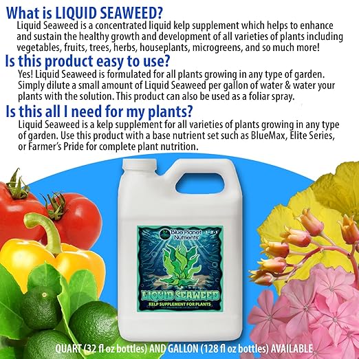 Liquid Kelp Seaweed Fertilizer Concentrate - Blue Planet Nutrients Ascophyllum Nodosum Liquid Seaweed Supplement - Makes 470 Gallons - Quart (32 oz)