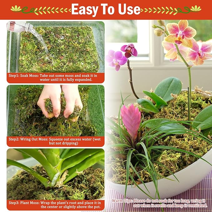Riare 3.5OZ Premium Sphagnum Moss for Plants- 4QT Natural Dried Plant Moss for Potted Plants, Orchid Moss for Repotting, Soft Green Decorative Moss for Succulents, Reptiles & DIY Crafts