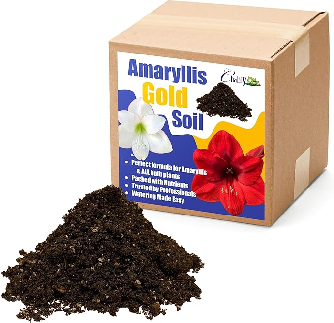 Chalily Amaryllis Potting Soil Perfect Planting Indoor & Outdoor House Tropical Mix Well Draining Houseplant Gardening Dirt Flower Paperwhites Hyacinth Premium Garden Poting (4 qt)