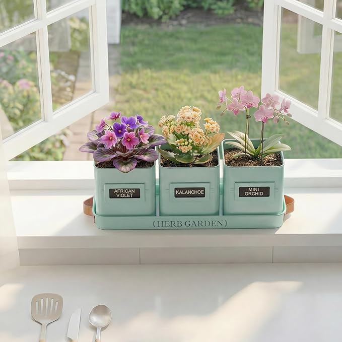 PERFNIQUE Indoor Herb Garden, Herb Planter Set with Tray, Farmhouse Indoor Plant Pots, Windowsill Herb Garden with Drainage(Planter only) for Indoor/Outdoor, Window Pots (Mint)