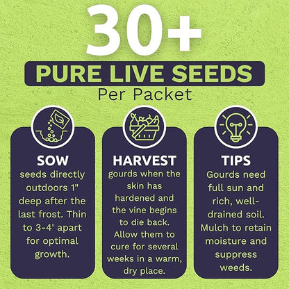 Organic Mixed Gourd Seeds – Two Seed Packets! Over 30 Open Pollinated Non-GMO Seeds – Sweet Yards Seed Co.