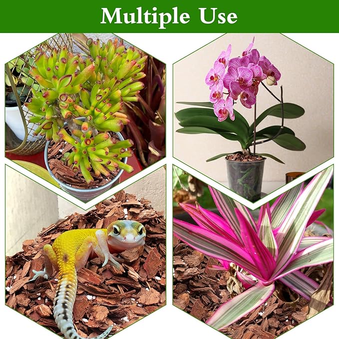 Orchid Bark Potting Mix,Premium Orchid Potting Mixture of Pine Bark and Perlite,Good Ventilation and Water Retention for Repotting Orchids and Growing Indoor Plants,2QT