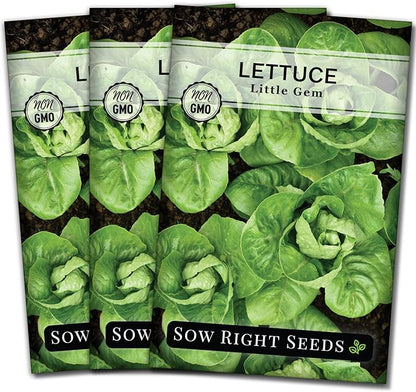 Sow Right Seeds - Little Gem Lettuce Seeds for Planting - Non-GMO Heirloom Packet with Instructions to Plant a Home Vegetable Garden - Outdoors or Indoors Hydroponics - Miniature Romaine Variety (3)
