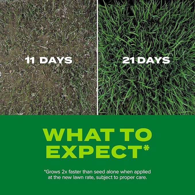 Scotts Turf Builder Rapid Grass Tall Fescue Mix - Combination Grass Seed and Fertilizer for Lawns, Lawn Seed That Grows in Just Weeks, 5.6 lbs.