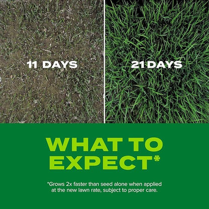 Scotts Turf Builder Rapid Grass Tall Fescue Mix - Combination Grass Seed and Fertilizer for Lawns, Lawn Seed That Grows in Just Weeks, 5.6 lbs.