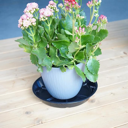 6 Pack of 8 Inches Plant Saucers for Indoor, Durable Plant Saucer Pot Tray, Round Plastic Flower Plant Dish Pant Plate to Catch Water, Black