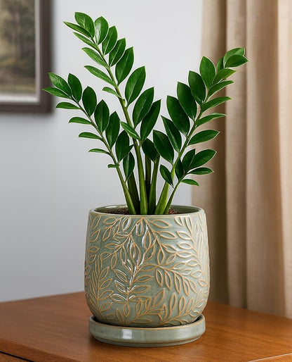 D'vine Dev 6 Inch Embossed Leaves Stoneware Planter Pot with Drainage Hole and Saucer, Olive, 27-A-X-0