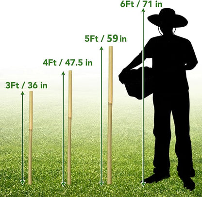 60Pcs Bamboo Stakes for Plant 5 Feet(57.5 inch), Garden Bamboo Plant Stakes for Plants Support, Climbing Plants, Tomatoes, Sunflowers, Beans, Potted Plants, Trees