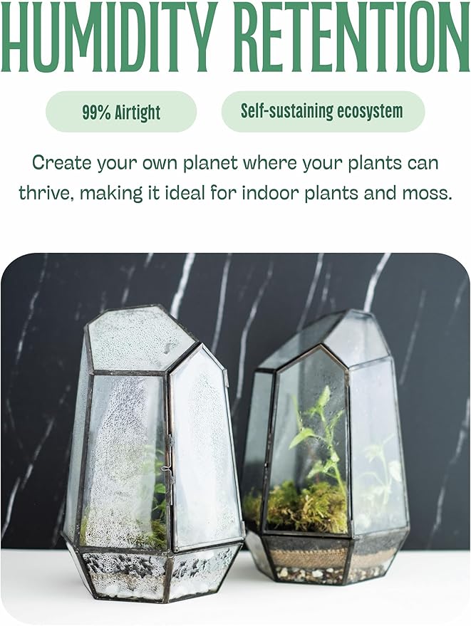 KraftStories Clear Glass Terrarium with Door | Geometric Design Container | Ideal Planter for Moss and Indoor Plants | Maintains Humidity | Self-Sustaining Indoor Garden Ecosystem (Only Terrarium)