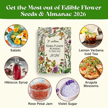 Lush&Dew Edible Flower Seed Bank with Almanac, Gardening Gifts for Women Men, 32 Types 30,000+ Non-GMO Heirloom Seeds for Planting Culinary Flowers, Survival Seed Kit, Annual Perennial, Zone 3-11