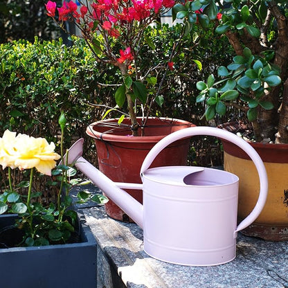 1.3 Gallon Watering Can, Matte Pink Finish, Galvanized, Metal Watering Can with Remove Spout, Perfect Water Can for Plants Indoor & Outdoor