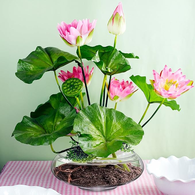 Baderke 3 Pcs Hydroponic Planter Lotus Flower Pot Planter Lotus Bowl Clear Glass Fish Bowl Vase for Planting Indoor Home Decor Water Lily Narcissus Planting Water Lily (9.84in)
