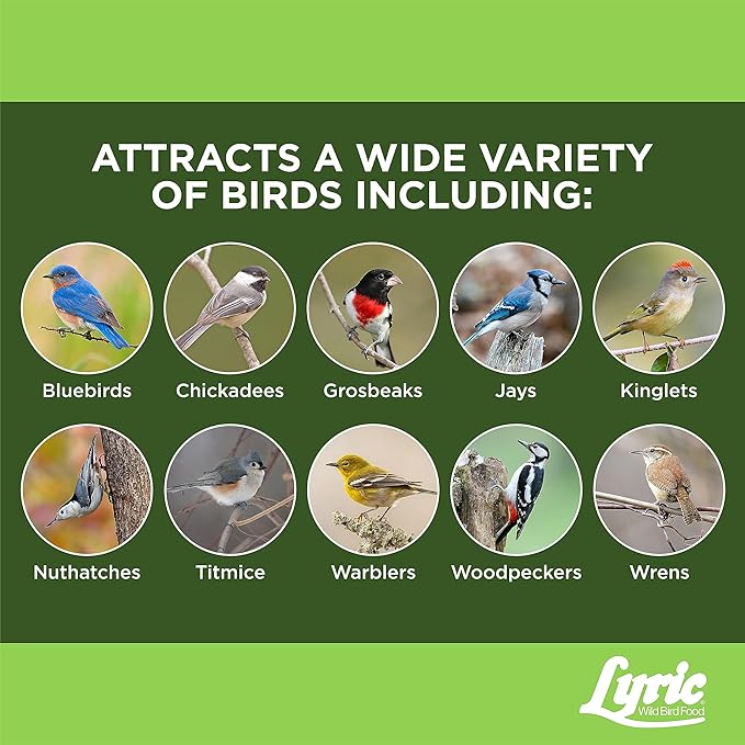 Lyric Fine Tunes No Waste Wild Bird Seed Suet Cakes for Wild Birds, 9 lb (Pack of 1)