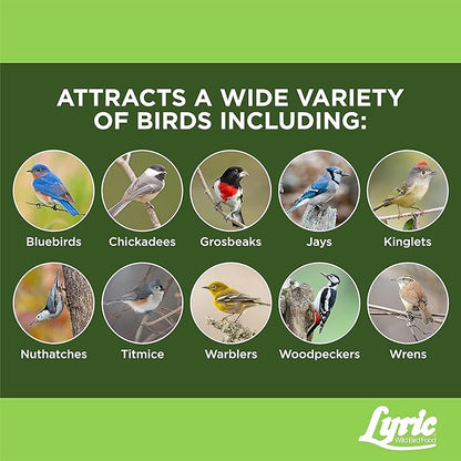 Lyric Fine Tunes No Waste Wild Bird Seed Suet Cakes for Wild Birds, 9 lb (Pack of 1)