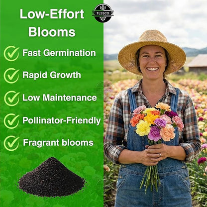 2550+ Carnation Flower Seeds for Planting, Pack for 2026 USA Premium Non-GMO Flower Seeds- AKA. Dianthus Caryophyllus Chabaud Mix Perennial