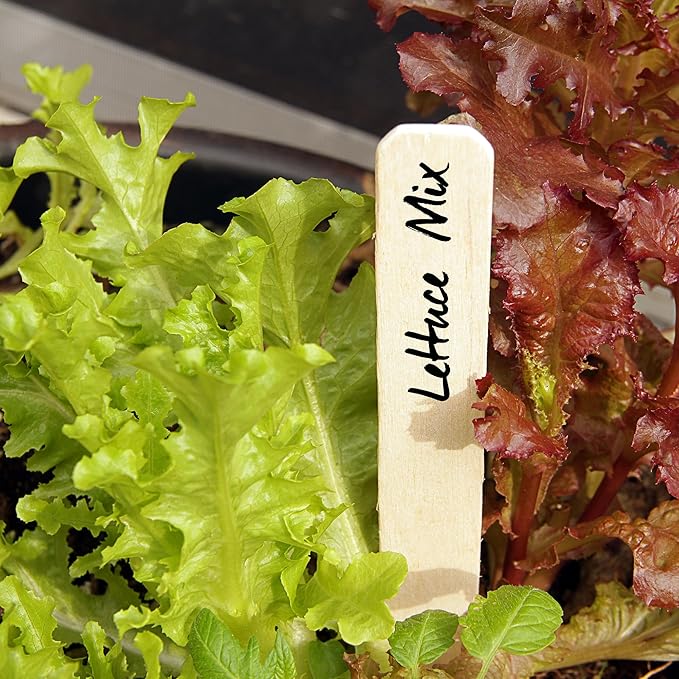6 inch Wooden Plant Labels, 50 pcs with Garden Marker