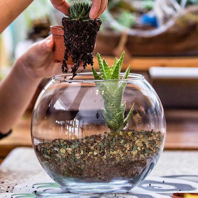 Terrarium Potting Soil Mix 2qt, Custom Made for Terrariums, Perfect for Vibrant Miniature Gardens
