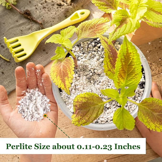 Organic Horticultural Perlite,Natural Perlite Improved Drainage, Ventilation & Root Growth,Perlite Conditioner Potting Mix for Orchids,Succulents,Indoor & Outdoor Plant and Gardening-2QT
