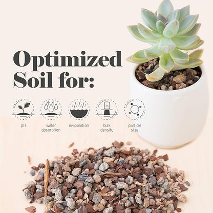 Bonsai Jack Succulent, Cactus and Bonsai Soil - Jacks Gritty Mix - 6 Gallons – Fast Draining – Fight Root Rot – Optimized pH