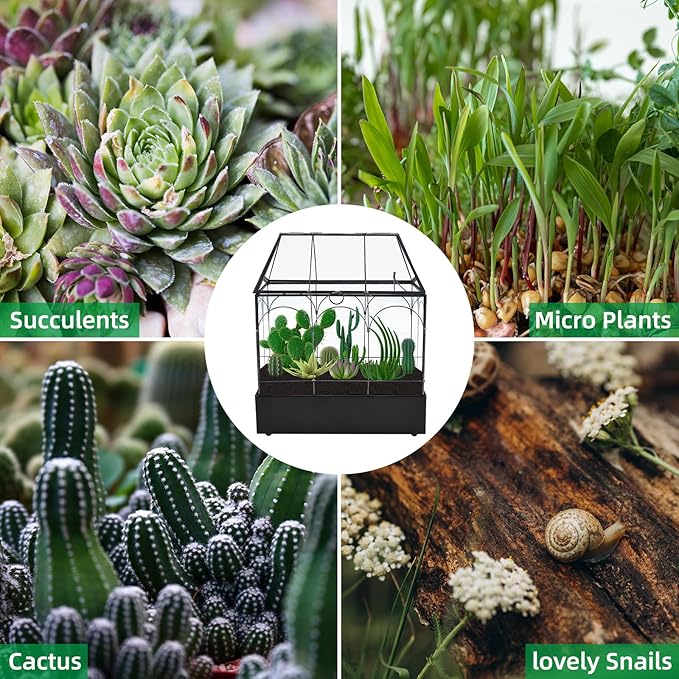 HighFree Large Glass Terrarium with Metal Tray, Glass Greenhouse Terrarium, Succulent Terrarium Kit for Succulents, Cacti, Snails, Spiders, and Miniature Reptiles, Black (Velvet Bottom)