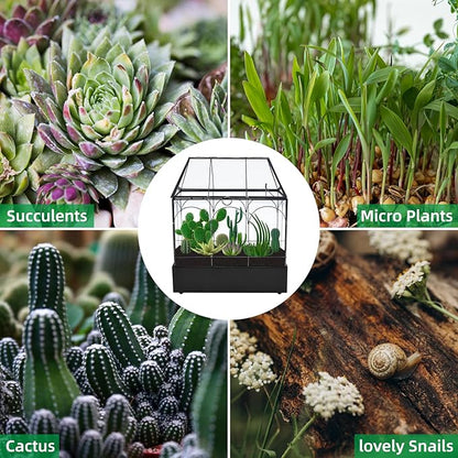 HighFree Large Glass Terrarium with Metal Tray, Glass Greenhouse Terrarium, Succulent Terrarium Kit for Succulents, Cacti, Snails, Spiders, and Miniature Reptiles, Black (Velvet Bottom)