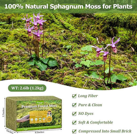 Legigo 2.6LBS Sphagnum Moss for Plants, 50QT Natural Orchid Moss Potting Mix Dired, Green Forest Plant Moss for Orchid Repotting Carnivorous Succulents Indoor Potted Plants Gardening and Reptiles
