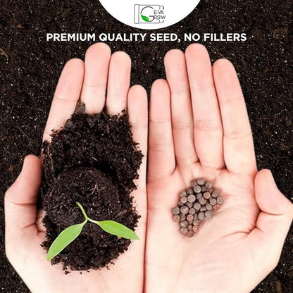 Wildflower Seed Shaker – Annual Mix by GevaGrow | 17 Variety Flower Seeds for Planting in Pots & Outdoor Gardens, Bulk 300,000+ Seeds - 1 Pound Tub