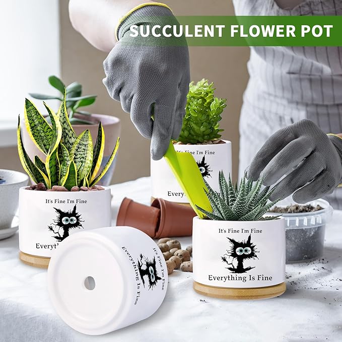 Black cat planters for Indoor Plants,Funny Gifts for Cat Lover,Indoor Plants Garden Planters Succulent Pots, with Drainage Holes and Saucer(No Plants) (Black Cat)