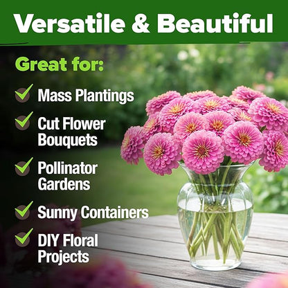 HOME GROWN Pink Zinnia Seeds – 600 Luminosa Zinnias 0.5g, Easy to Grow Annual Flower Seeds for Planting Outdoors for 2026, Fast Blooming, Heat Tolerant Herb Seed Garden Companion (Zinnia elegans)