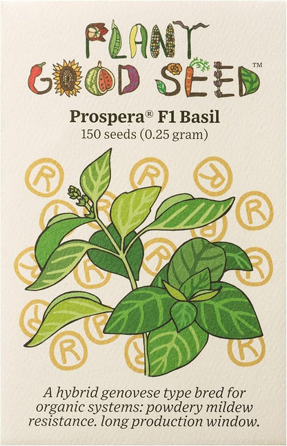 Plant Good Seed Prospera F1 Basil Seeds Seeds for Planting: Perennial Herb, Green Leaves - 150 Seed Packet