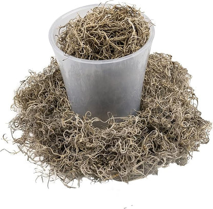 Gardenera Premium Natural Spanish Moss | Natural Preserved - Great Ground Cover - Filler for Potted Plants - 2 Quart Bag (GRD-SPANISH-MOSS-2QT)