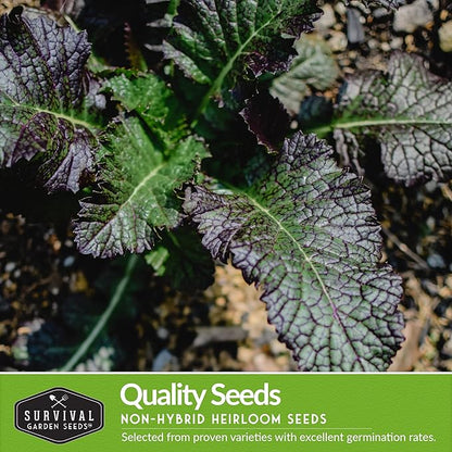 Mustard Green Seeds for Planting - 4 Variety Pack of Heirloom Greens | Tatsoi, Southern Giant, Giant Red, Pak Choi Mustard & Asian Greens Seed - Survival Garden Seeds