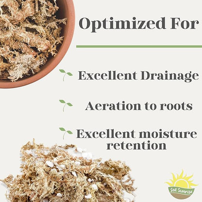 Soil Sunrise Sphagnum Moss Potting Mix (1 Quart) for Carnivorous Plants: Blend of Dried Moss with Perlite