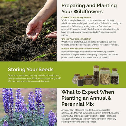 Eden Brothers North American Native Wildflower Mixed Seeds for Planting, 5 lb, 2,400,000+ Seeds with Birds Eyes, Lupine | Attracts Pollinators, Plant in Spring or Fall, Zones 3, 4, 5, 6, 7, 8, 9, 10