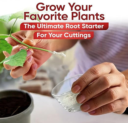 Hormex Rooting Powder #1 (0.10% IBA) for Delicate Houseplants, Succulents & Herbs - Gentle Root Powder, Root Stimulator for Plants, Rooting Hormone for Cuttings, Cloning, & Softwood Propagation