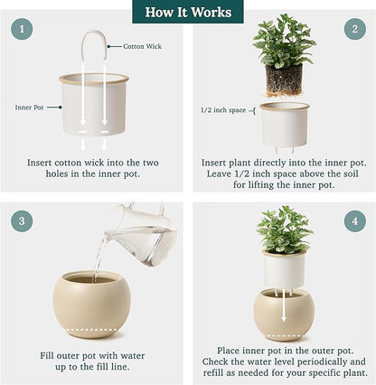 Ceramic Self Watering Plant Pot | 6.8 Inch Pot with 4.5 Inch Opening for Plant | Ivory Pot for Indoor Plants | Round Self Watering Planter | Bottom Watering Pots for Indoor Plants