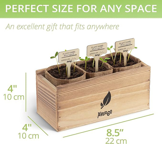 AVERGO Sunflower, Marigold & Zinnia Flower Seeds Growing Kit – Complete Indoor & Outdoor Kit with Seeds for Planting, Planters, Soil, Tools, Instructions – Ideal for Gift Giving
