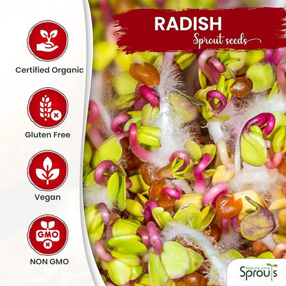 Nature Jims Organic Radish Sprout Seeds – 16 Ounce Premium Non-GMO Radish Seeds for Sprouting, Rich in Vitamins, Minerals, Fiber & Protein – Microgreen & Sprout Seeds for Home Growing