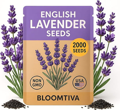 Premium English Lavender Seeds – 2,000 Non-GMO, USA-Grown Herb Seeds for Indoor & Outdoor Planting – High Germination Wildflower (Lavandula angustifolia)