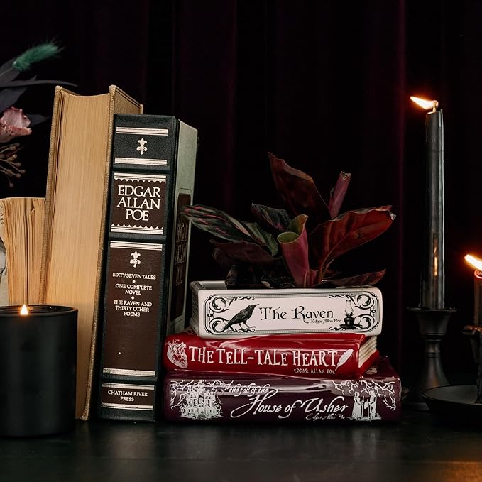 Steel Mill & Co Original Small Book-Shaped Decorative Planter, Ceramic Planter for Home Decor, Gothic Bookshelf Decor, Unique Planter for Book Lover (Edgar Allan Poe)