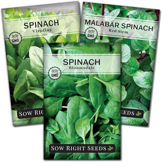 Sow Right Seeds - Spinach Seed Collection for Planting - Viroflay, Malabar & Bloomsdale Spinach - Cold Hardy Vegetable Seeds for Growing - Mix of Hardy, Flavorful Greens - Non-GMO Heirloom Packets