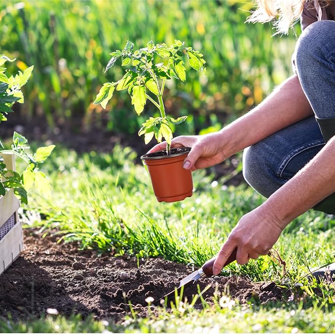 300 Pcs 4 Inch Plant Nursery Pots Bulk Plastic Pots Plants Seed Starting Pots Garden Pots with Drainage Holes for Plants Succulents Seedlings Cuttings Transplanting (300, 4 Inch)